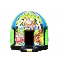 Disco Dome With Changeable Theme Disco Dome With Changeable Theme