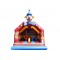 Commercial Bouncy Castle