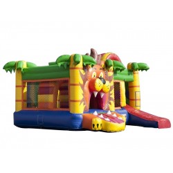 Lion Bouncy Castle Combo Lion Bouncy Castle Combo