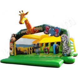 Giant Bouncy Castle With Slide