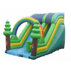 Commercial Inflatable Slide Commercial Inflatable Slide