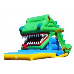Crocodile Snappy Slide