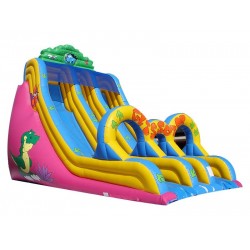 Inflatable Double Lane Slide Inflatable Double Lane Slide