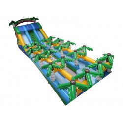 Palm Tree Inflatable Slide