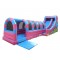 Commercial Inflatable Water Slides