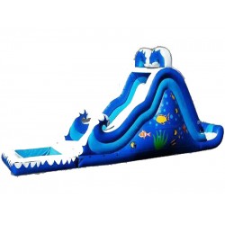 Giant Inflatable Water Slide Giant Inflatable Water Slide
