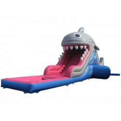 Shark Inflatable Water Slide Shark Inflatable Water Slide