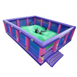 Commercial Inflatable Jump Pad Climber Commercial Inflatable Jump Pad Climber