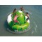 Inflatable Floating Water Revolution