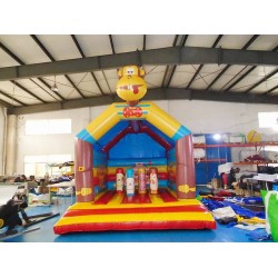 Kids Bounce House