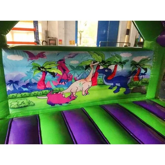 Croco Front Slide Bouncy Castle Croco Front Slide Bouncy Castle