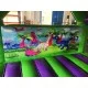 Croco Front Slide Bouncy Castle Croco Front Slide Bouncy Castle