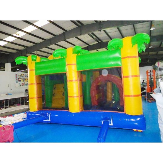 Lion Bouncy Castle Combo
