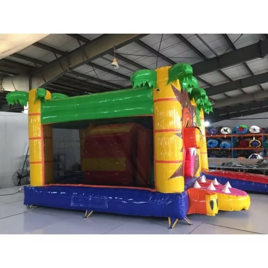Lion Bouncy Castle Combo Lion Bouncy Castle Combo