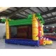 Lion Bouncy Castle Combo Lion Bouncy Castle Combo