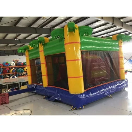 Lion Bouncy Castle Combo Lion Bouncy Castle Combo
