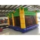 Lion Bouncy Castle Combo Lion Bouncy Castle Combo