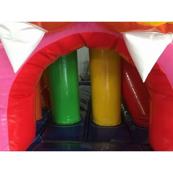 Lion Bouncy Castle Combo Lion Bouncy Castle Combo
