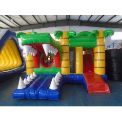 Crocodile Inflatable Combo