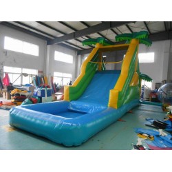 Inflatable Bouncy Castle With Water Slide Inflatable Bouncy Castle With Water Slide