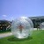 Zorb Balls: The New Attraction Drawing Crowds to UK Parks